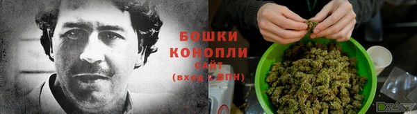 ECSTASY Армянск