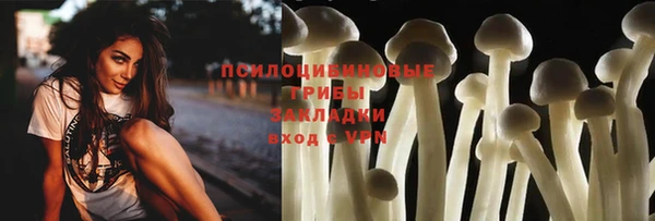 Альфа ПВП Аркадак