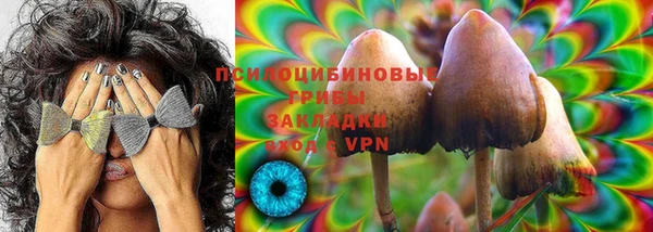 Альфа ПВП Аркадак