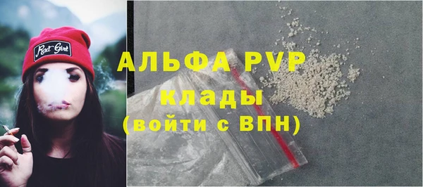 Альфа ПВП Аркадак
