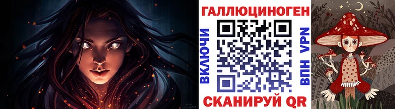 где можно купить   Краснослободск  Псилоцибиновые грибы GOLDEN TEACHER 